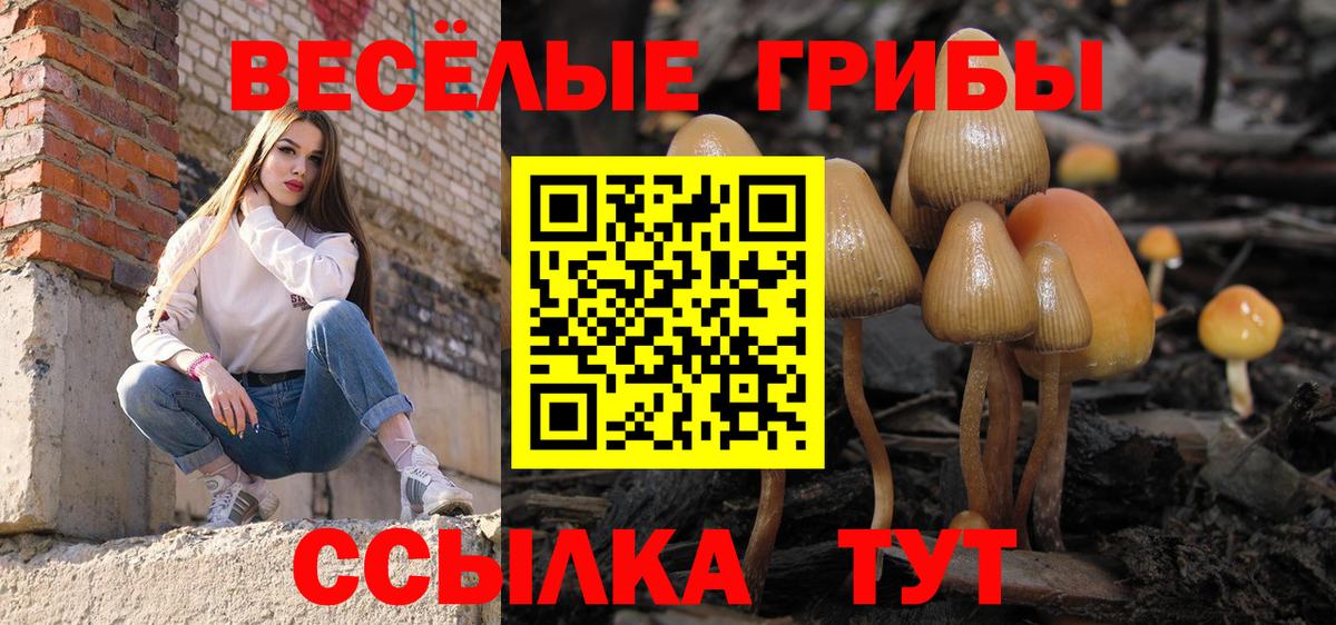 Псилоцибиновые грибы Psilocybe  Галлюциногенные грибы прущие грибы  Вход с VPN  Бердск 